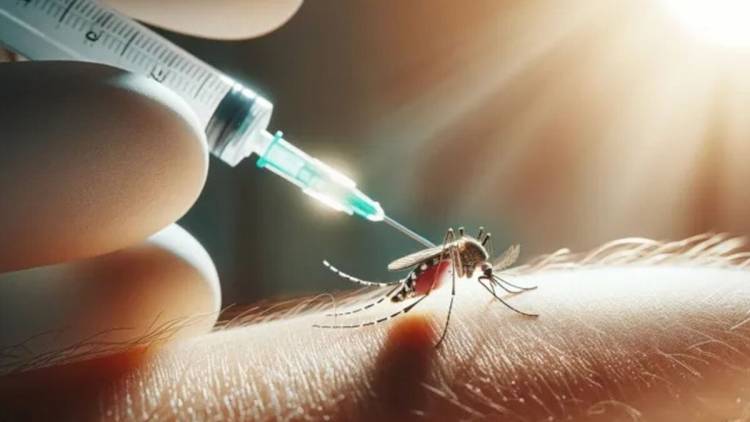 Confirman primer caso autóctono de Dengue en la provincia