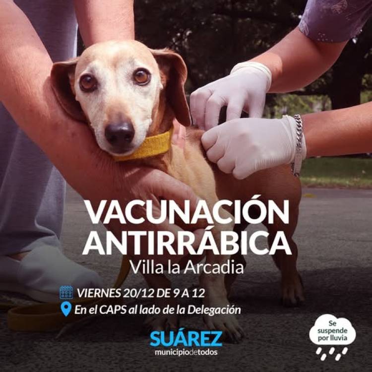 Jornada de Vacunación Antirrábica en Villa La Arcadia