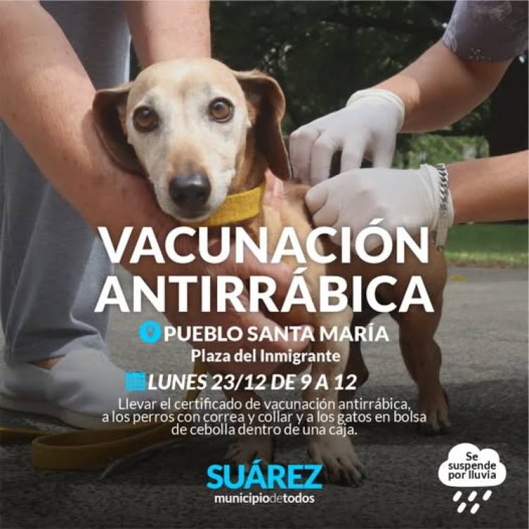 Campaña de vacunación antirrábica en Pueblo Santa María