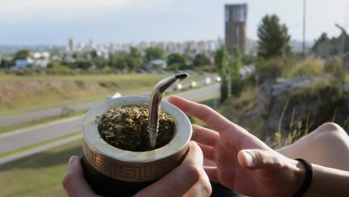 Yerba: entre la caída del consumo y el aumento de las importaciones