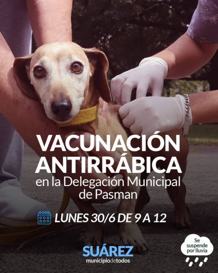 Campaña de Vacunación Antirrábica en Pasman