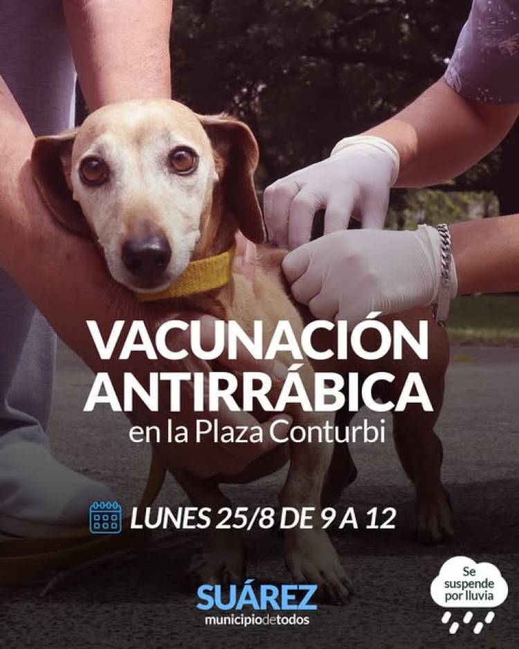 Campaña de Vacunación Antirrábica en la Plaza Conturbi