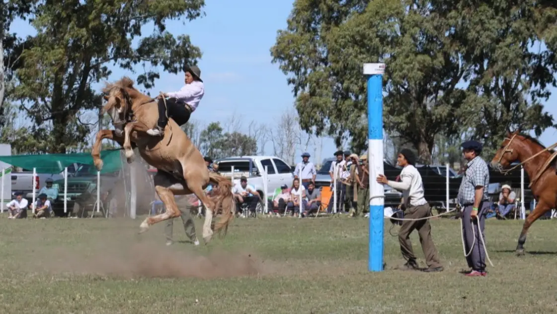 77º Fiesta Anual Tradicionalista: cuatro días de danza, canto y destrezas criollas