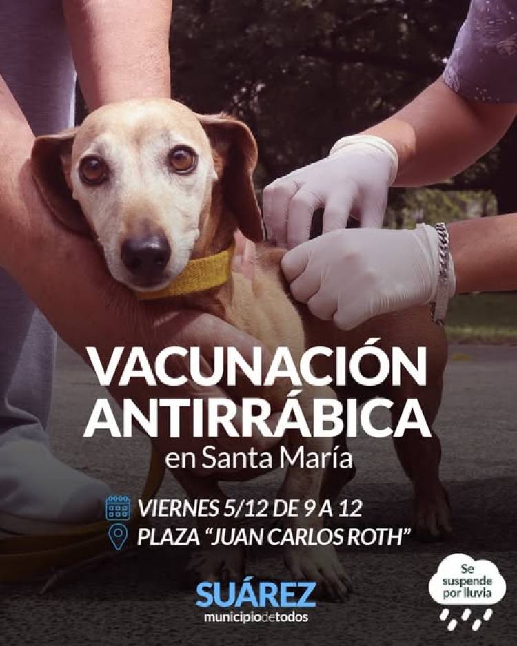 Campaña de Vacunación Antirrábica en Pueblo Santa María 