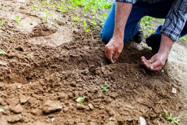 UNS: jornada abierta sobre conservación de suelos y cambio climático