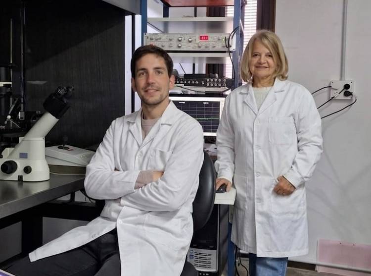 UNS: científicos bahienses realizan un avance clave para entender el impacto del cannabis en el cerebro