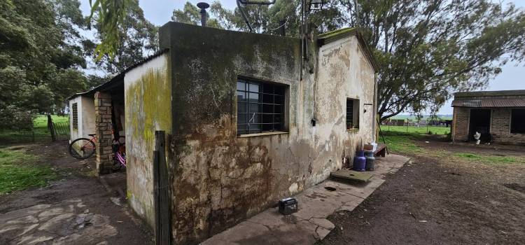 Inspecciones realizadas en la localidad de Puan