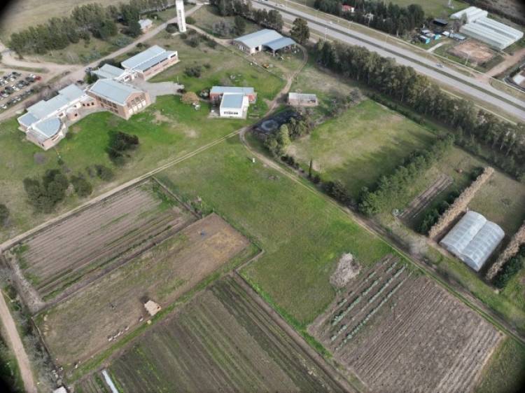 Inscripciones para el taller de adaptación a la Escuela de Agricultura y Ganadería