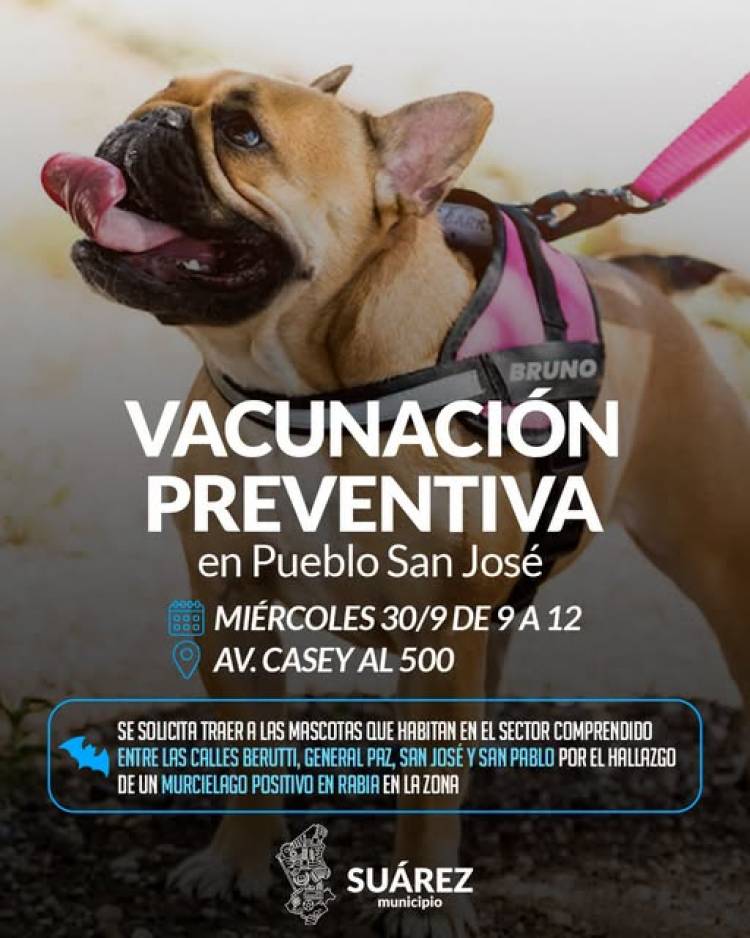 Vacunación preventiva de mascotas en Pueblo San José