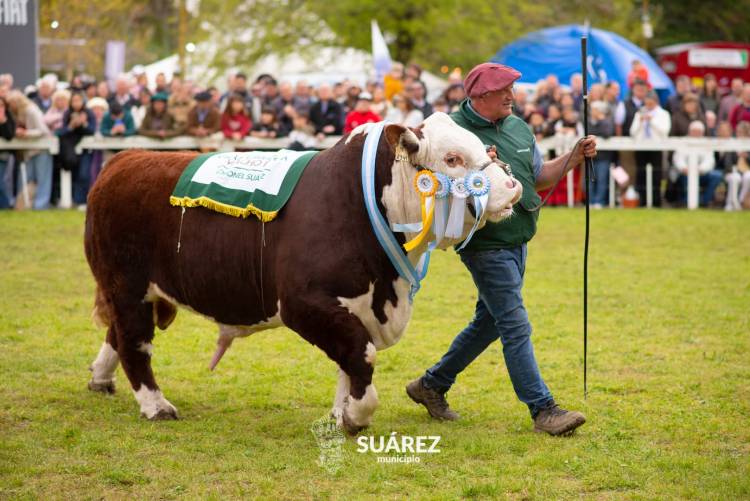 Moccero reclamó que vuelva al distrito lo que Coronel Suárez aporta