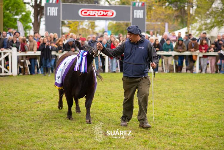 Moccero reclamó que vuelva al distrito lo que Coronel Suárez aporta