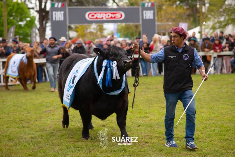 Moccero reclamó que vuelva al distrito lo que Coronel Suárez aporta