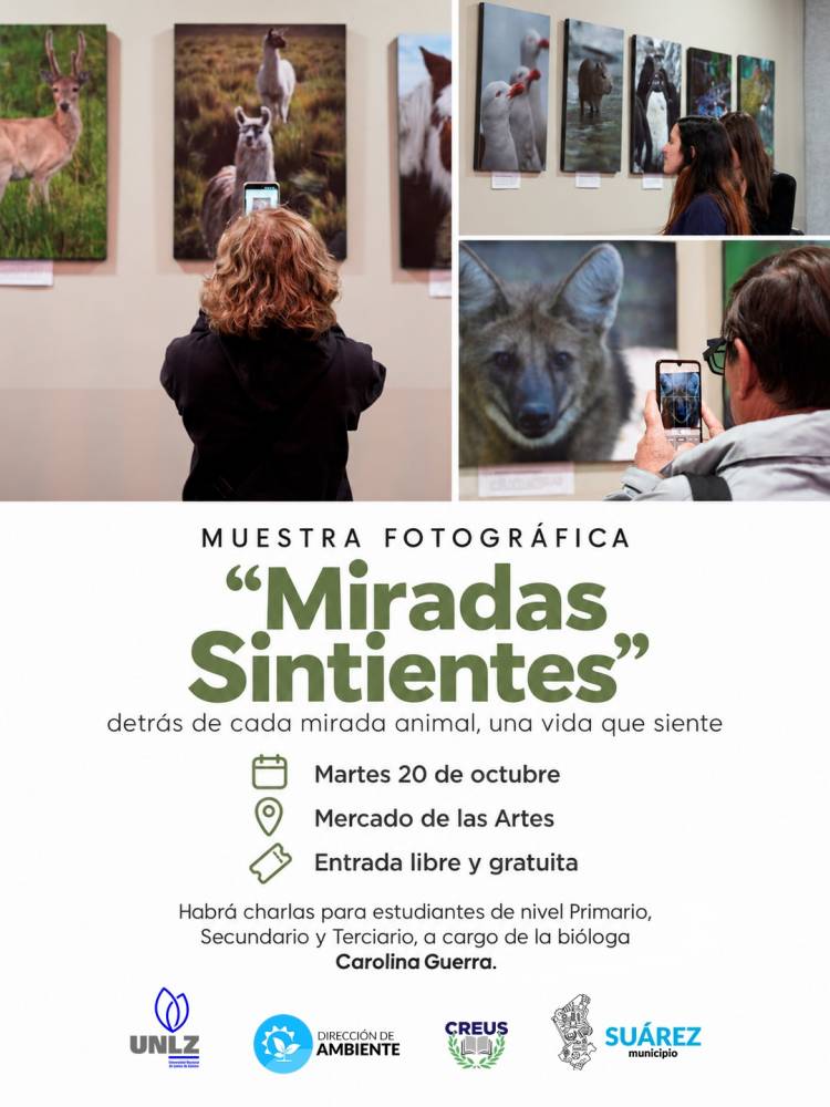 “Miradas Sintientes”: detrás de cada mirada animal, una vida que siente
